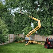 Best Pest Control for Lawns  in Milaca, MN