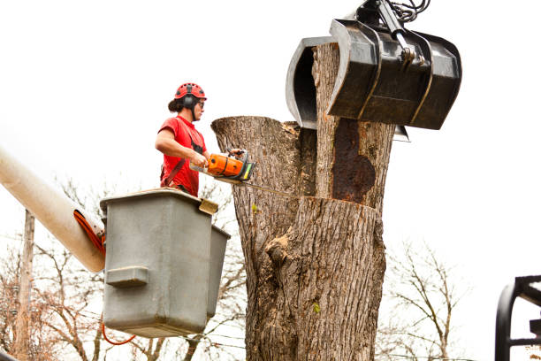 Mulching Services in Milaca, MN